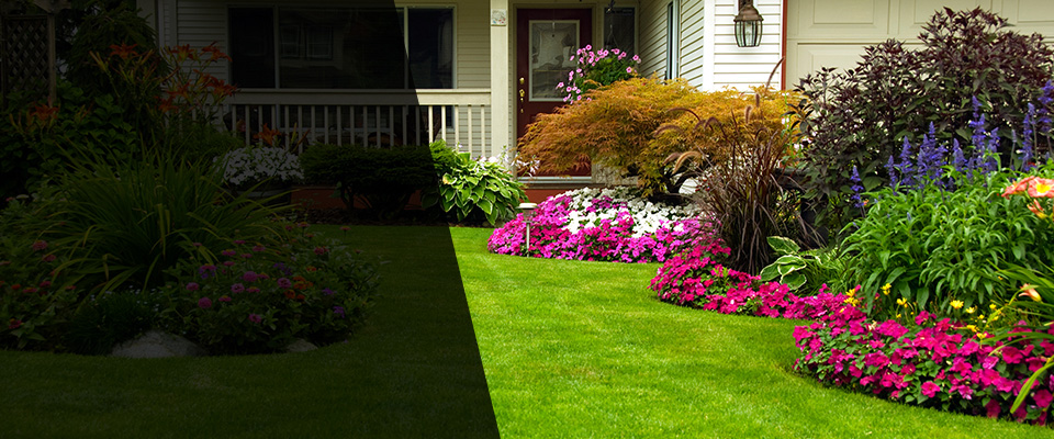 Nashville Landscapers